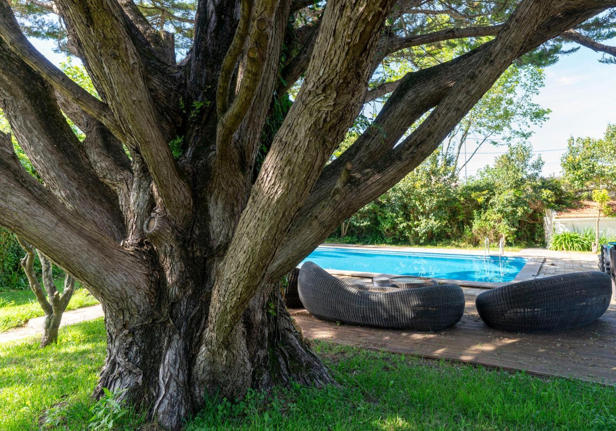 Villa Das Rosas シントラ エクステリア 写真