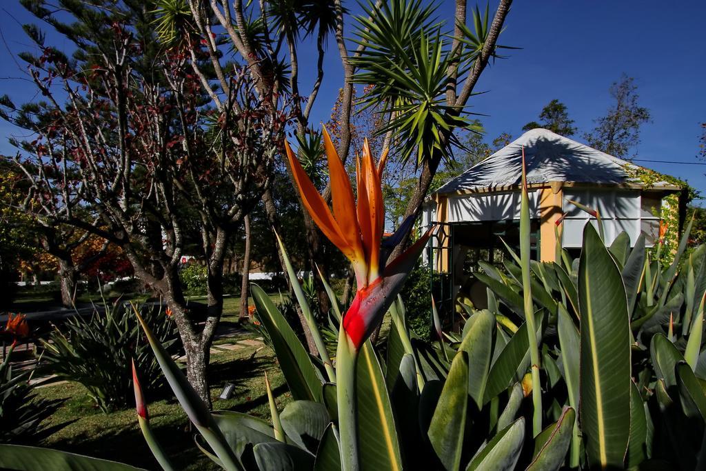 Villa Das Rosas シントラ エクステリア 写真